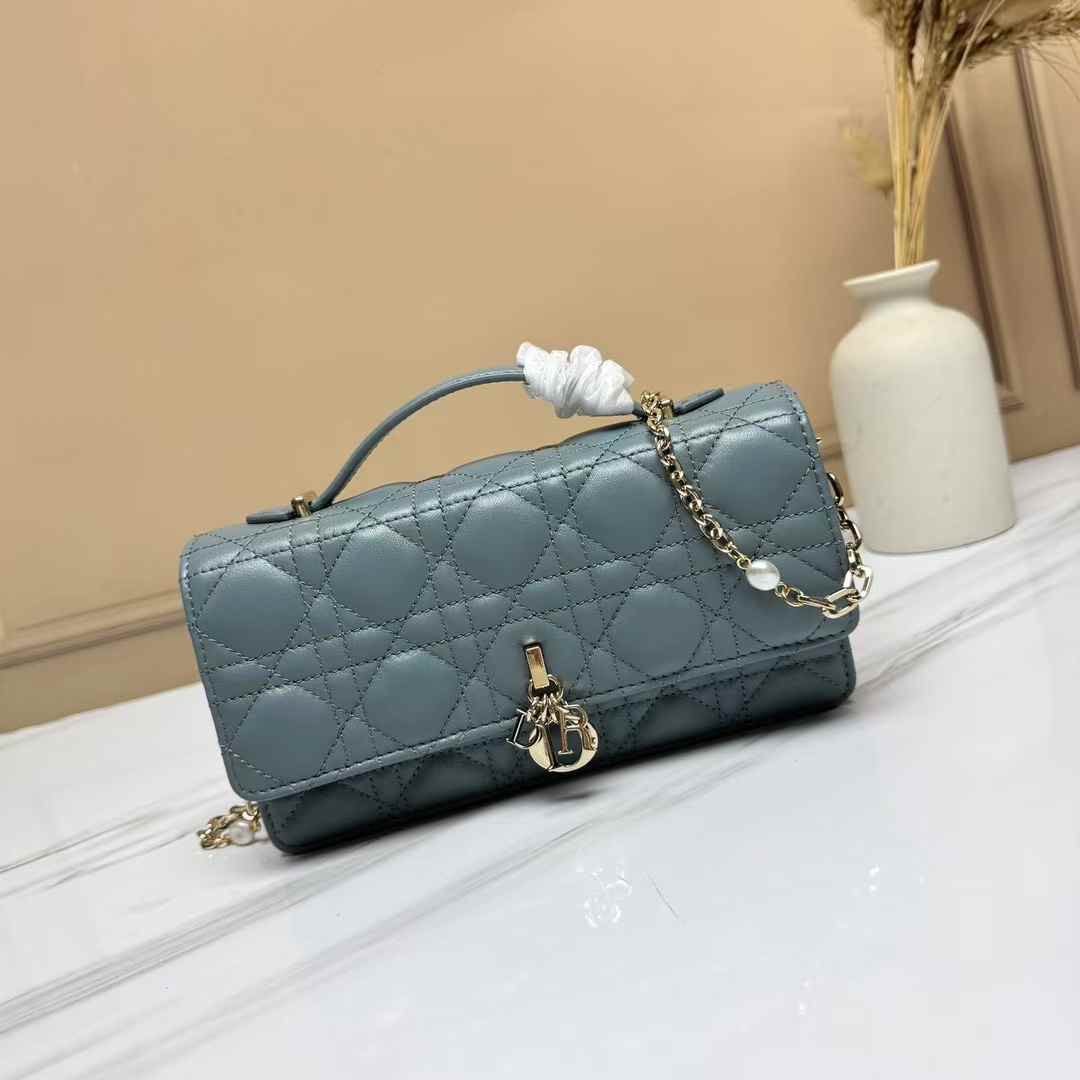 Dior Bag (11 Colors)