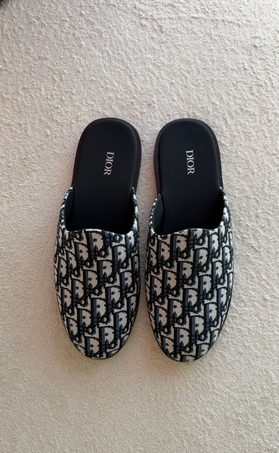Dior Slipper