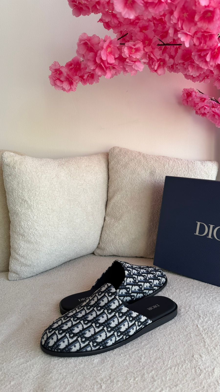 Dior Slipper