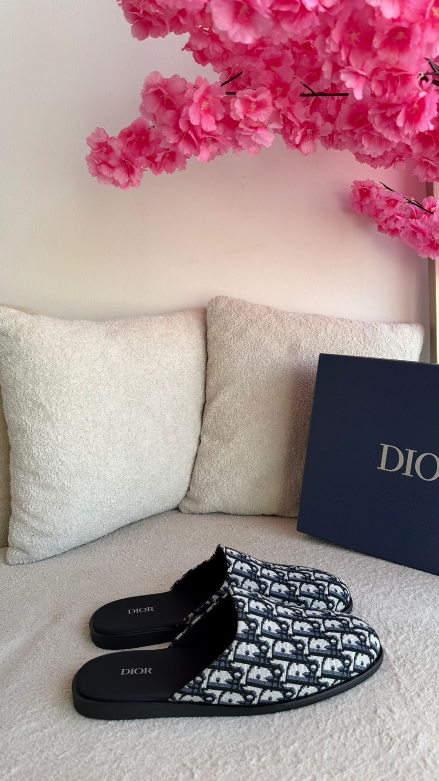 Dior Slipper