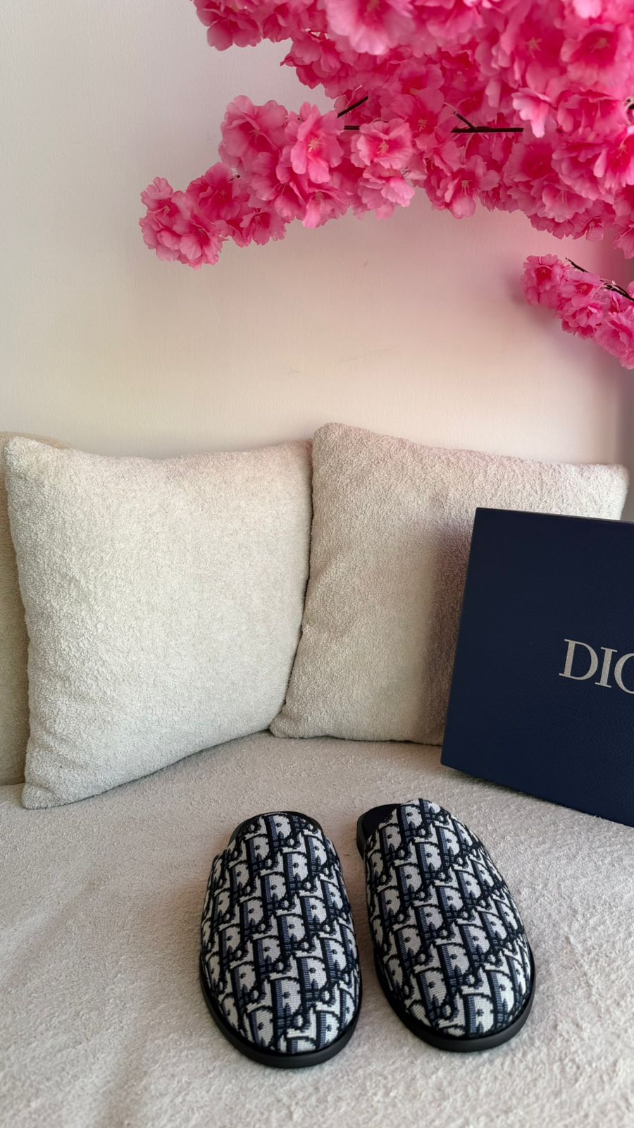 Dior Slipper