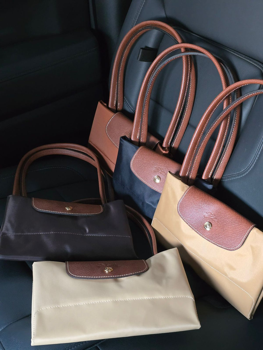 Long Champ Bag