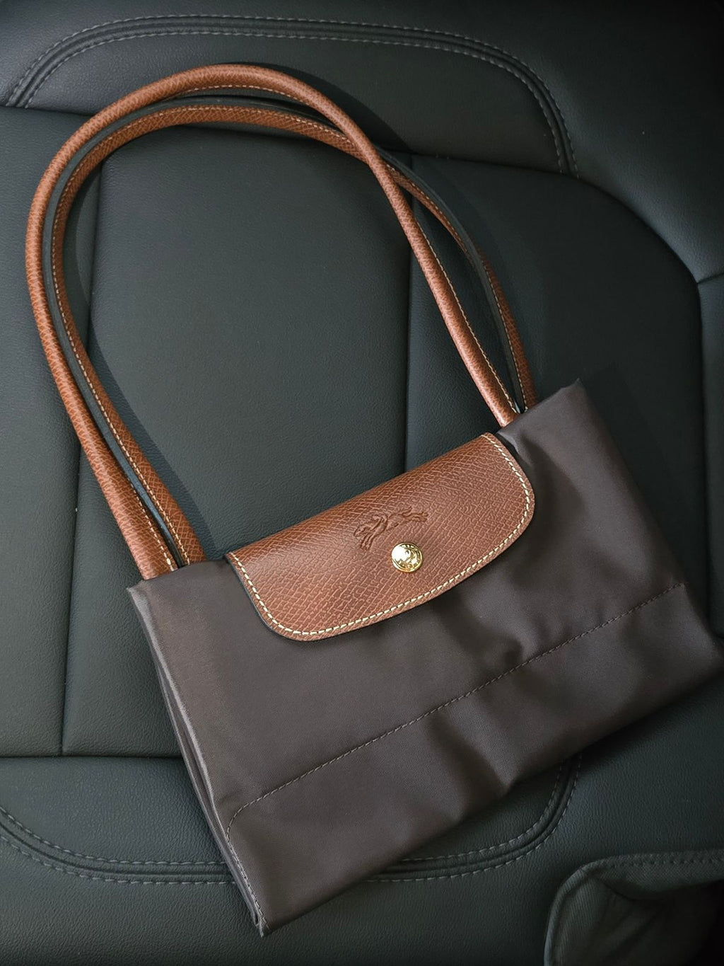 Long Champ Bag
