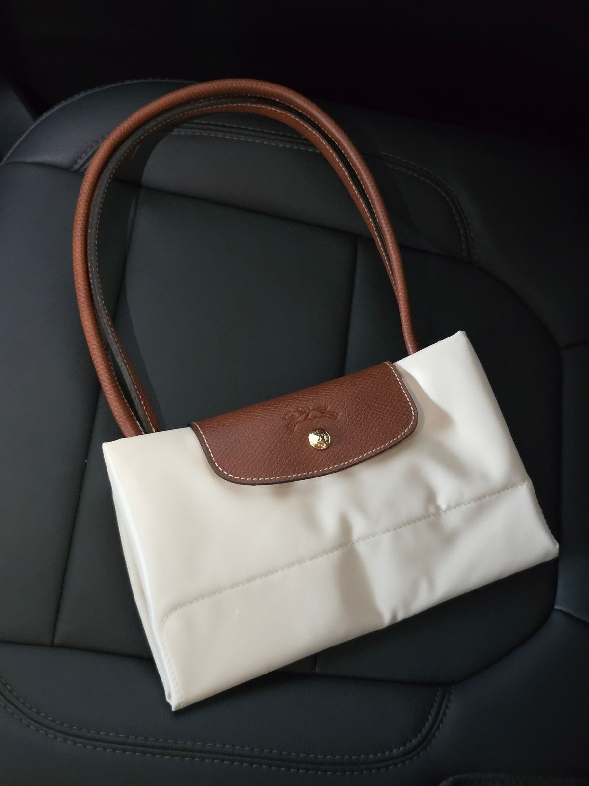 Long Champ Bag
