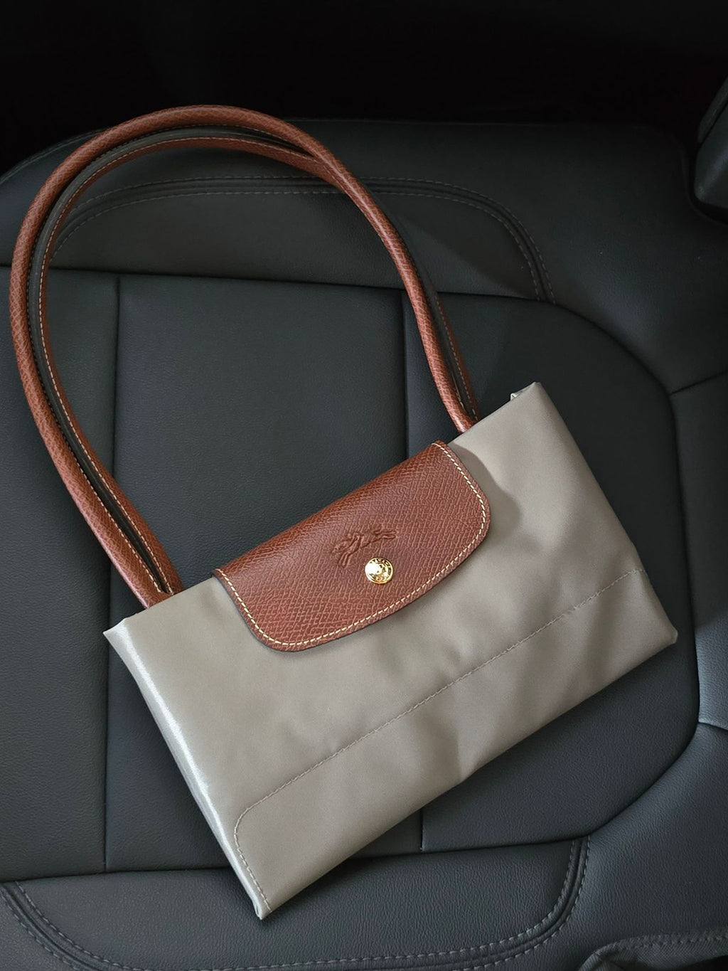 Long Champ Bag