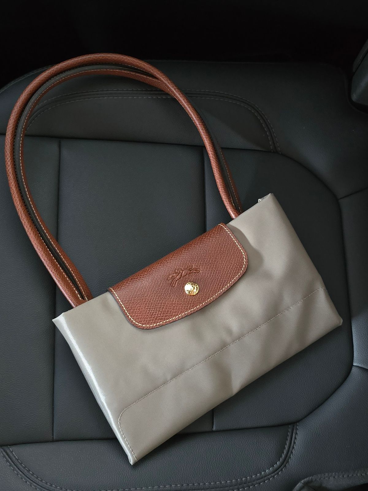 Long Champ Bag