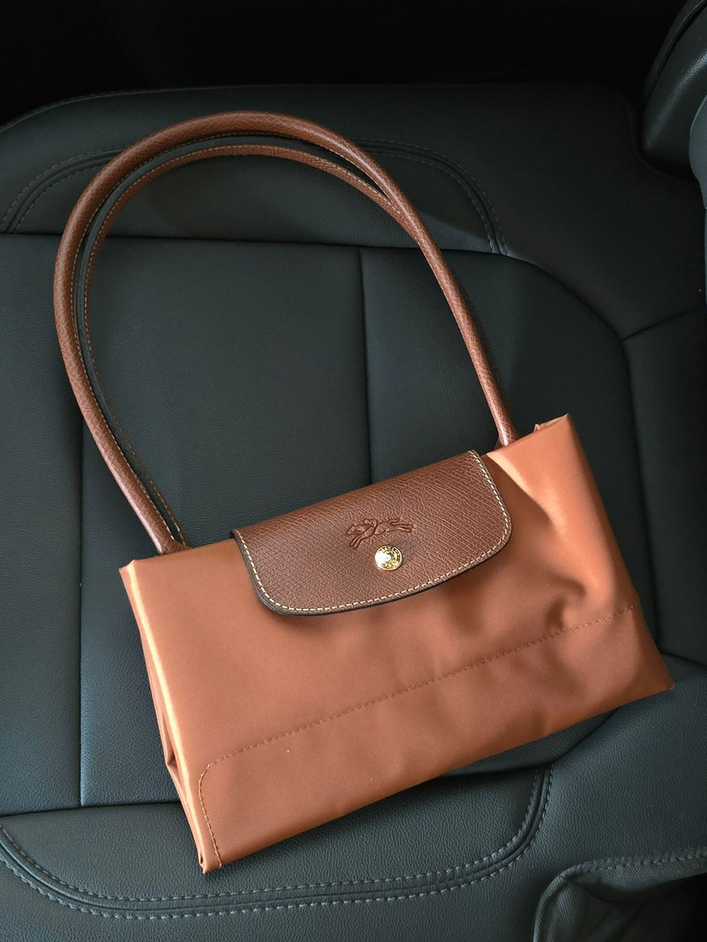 Long Champ Bag