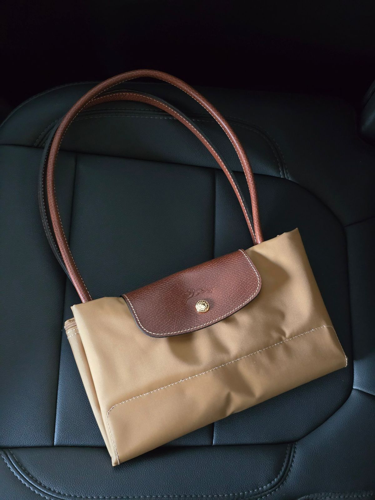 Long Champ Bag