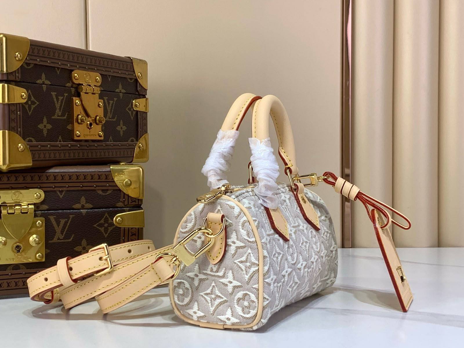 LV Bag