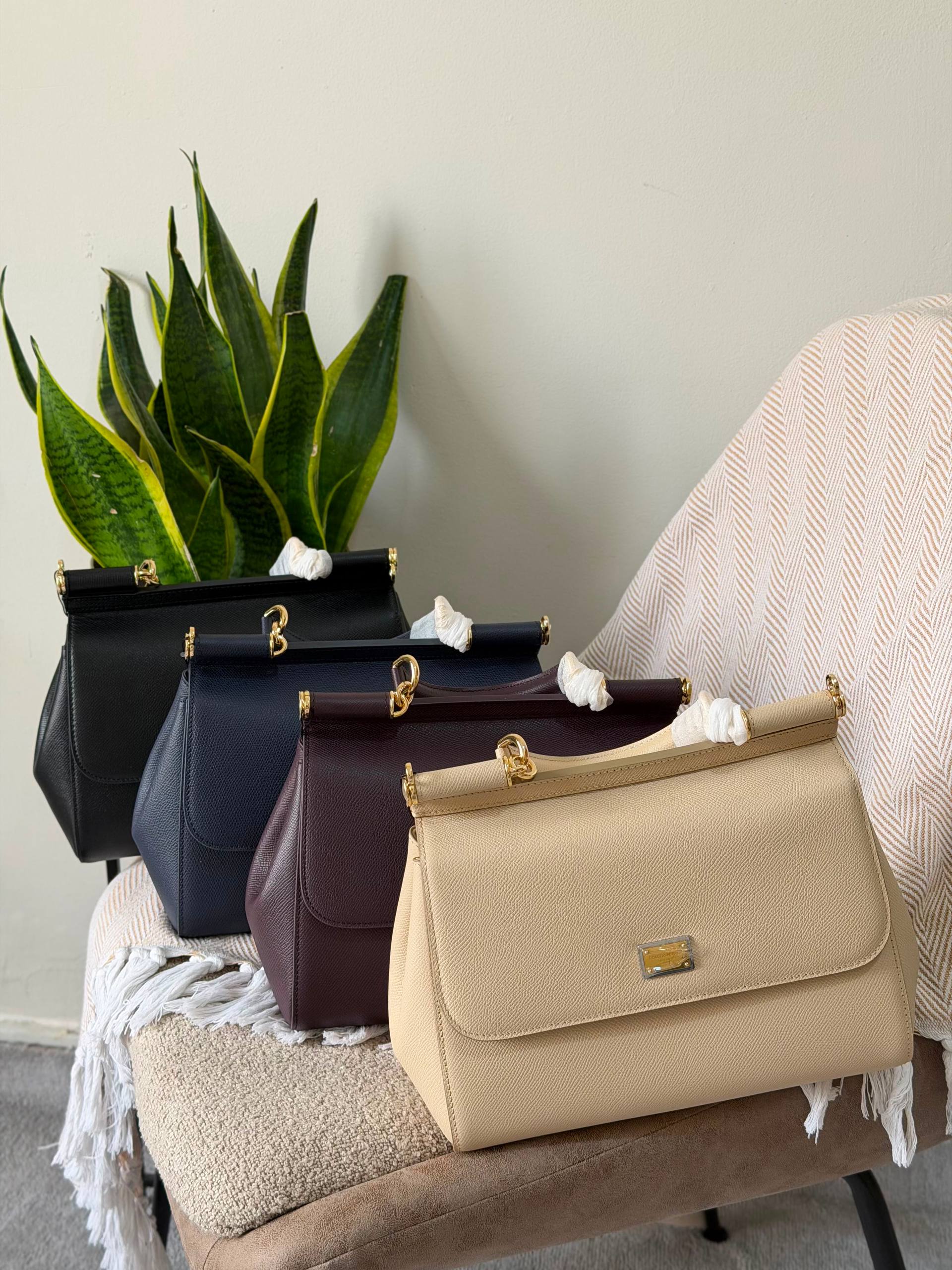 D&G Bag