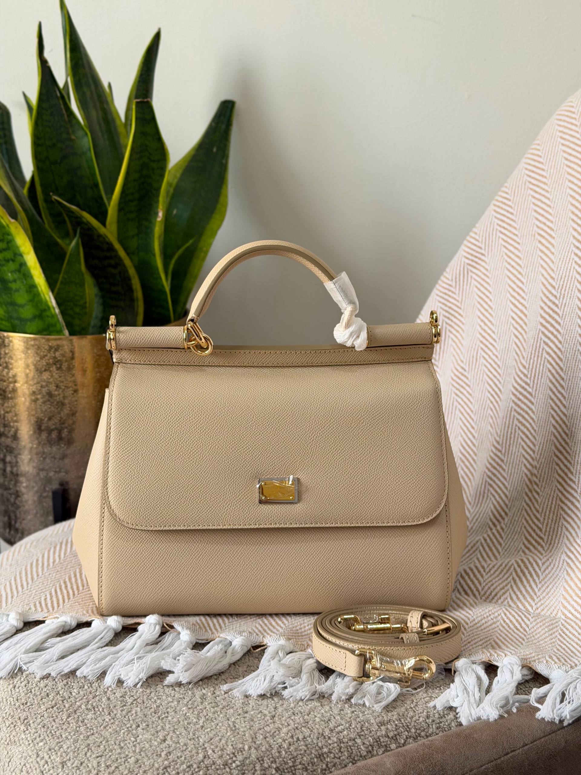 D&G Bag
