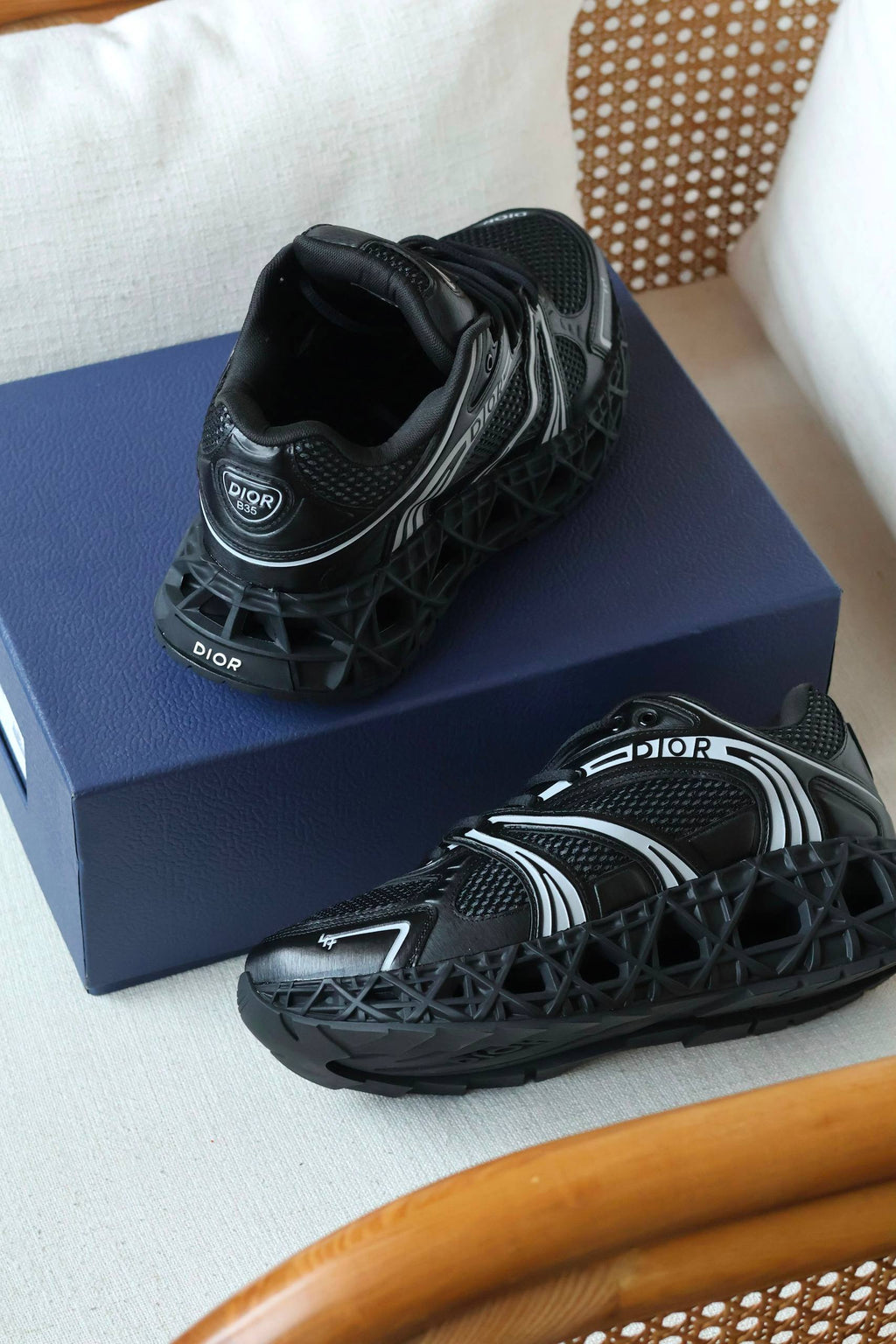 Dior Sneakers