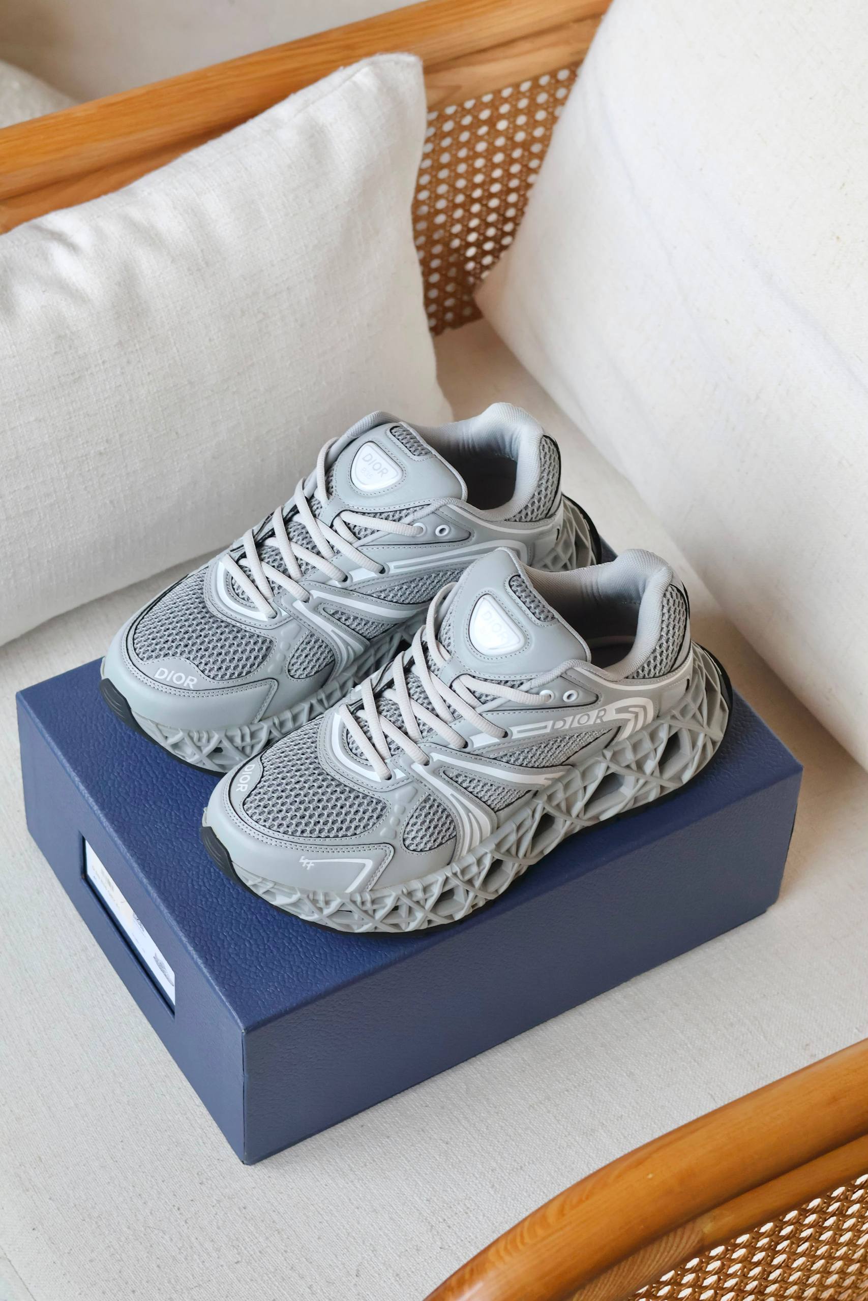 Dior Sneakers